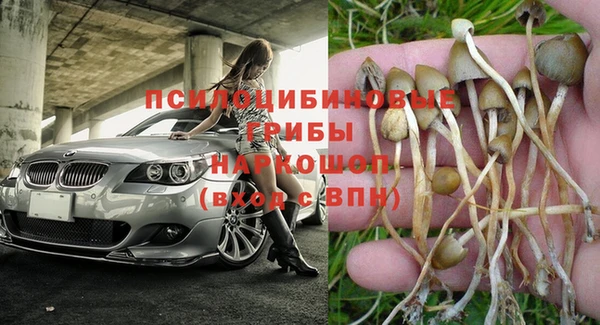 кокс Алексеевка