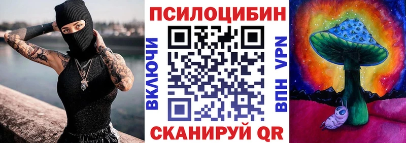 что такое   Фрязино  Псилоцибиновые грибы Psilocybine cubensis 